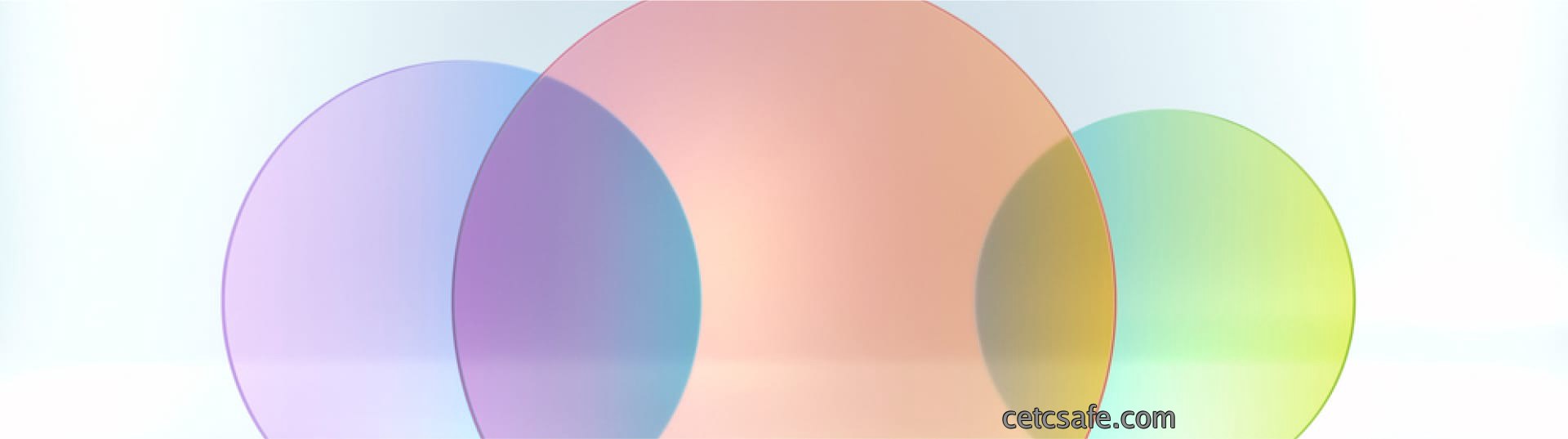 d1banner.jpg
